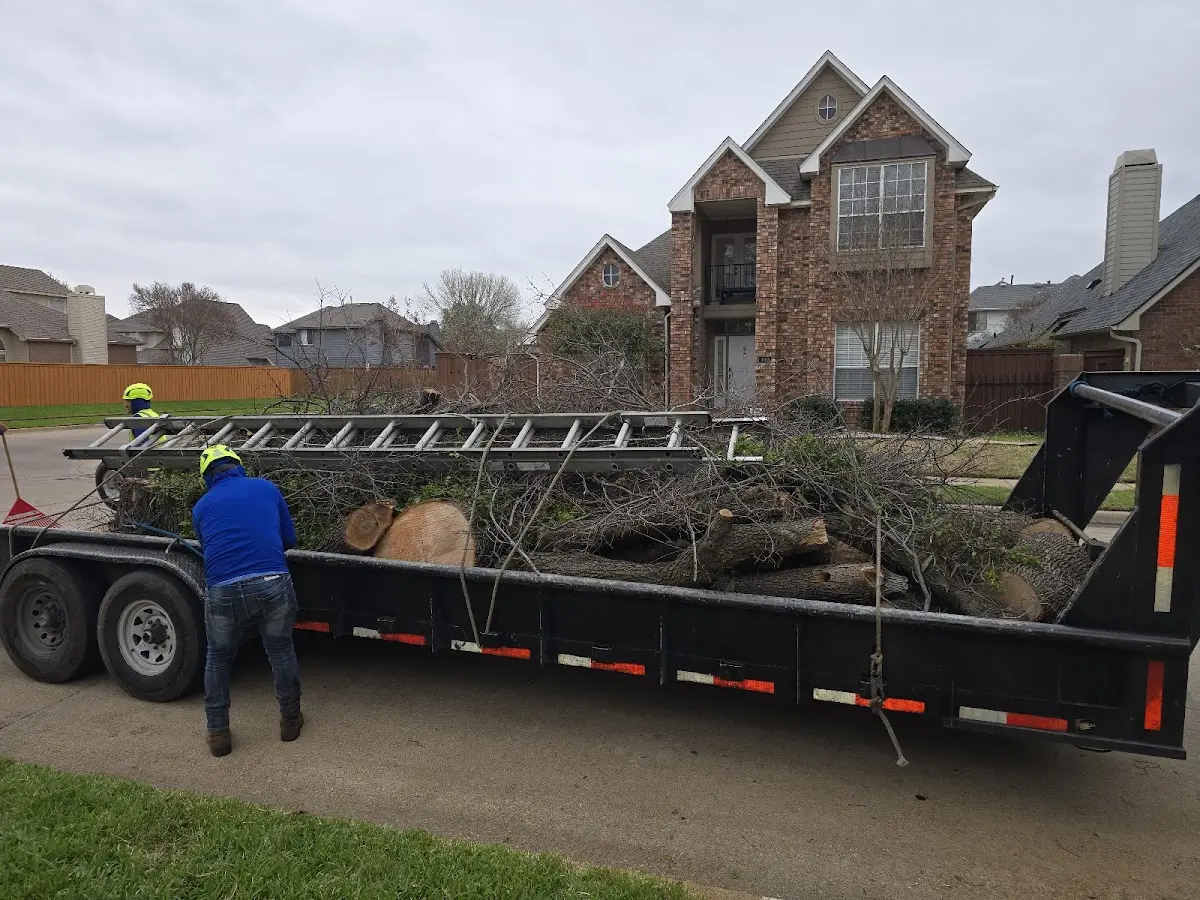 Expert Lot Clearing with proper safety equipment in Stuart